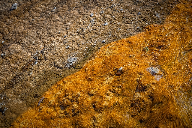 1G0A1811-HDR-Edit.jpg