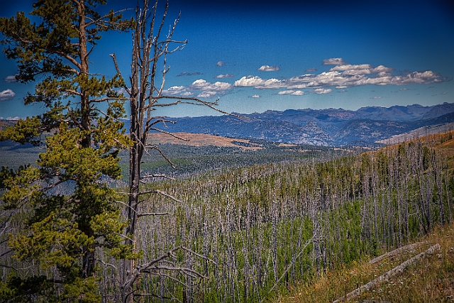 1G0A2226-HDR-Edit.jpg