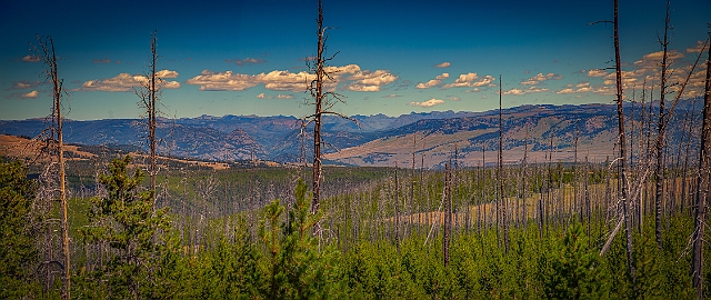 1G0A2241-HDR-Pano-Edit.jpg