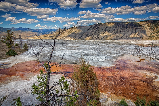 1G0A2382-HDR-Edit.jpg