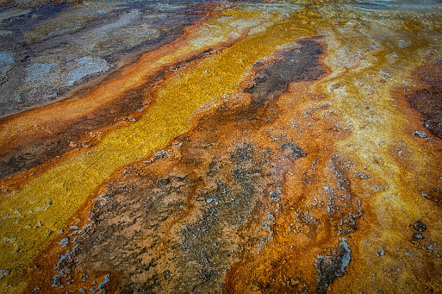 1G0A2568-HDR-Edit.jpg