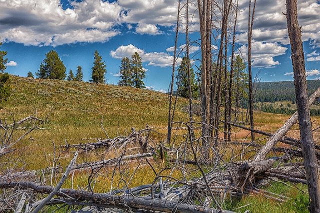 1G0A2766-HDR-Edit.jpg