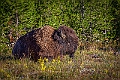 1G0A1288-Edit