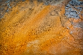 1G0A1556_57_58_59_60