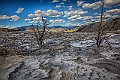 1G0A2398-HDR-Edit
