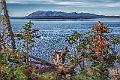 1G0A2642-HDR-Edit