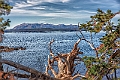 1G0A2656-HDR-Edit