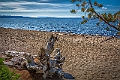 1G0A2685-HDR-Edit