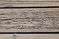 1G0A2771