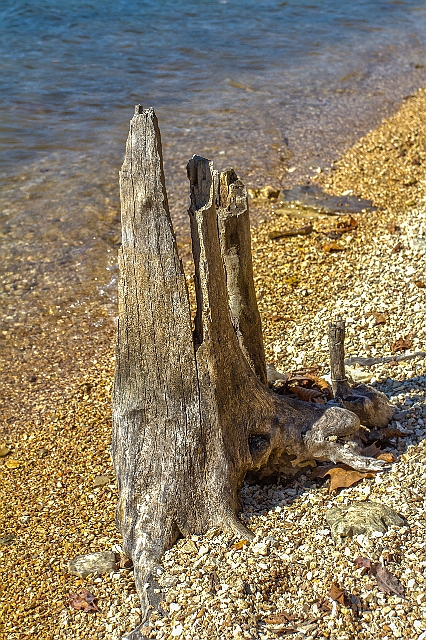 IMG_8283_HDR2.jpg