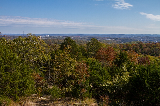 IMG_8758.jpg