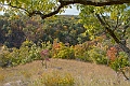 IMG_8329_HDR2