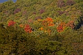 IMG_8665