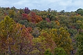 IMG_8674