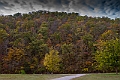 IMG_8695