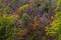 IMG_8710