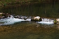 IMG_8715
