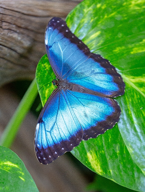 1G0A7315.jpg