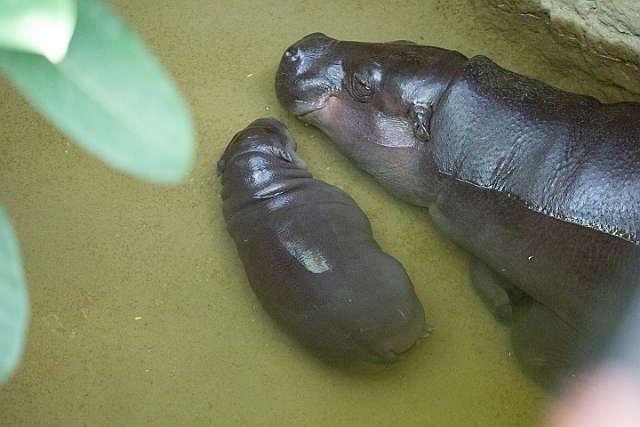 1G0A7552.jpg