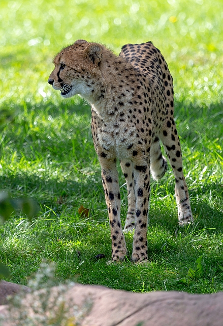 1G0A7646.jpg