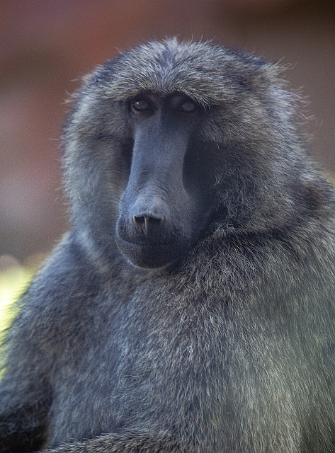 1G0A7677.jpg