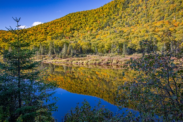 1G0A8579-HDR.jpg
