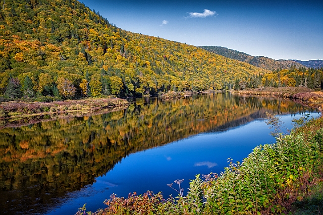 1G0A8584-Edit.jpg