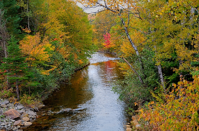 1G0A8923_4_5_6_7.jpg