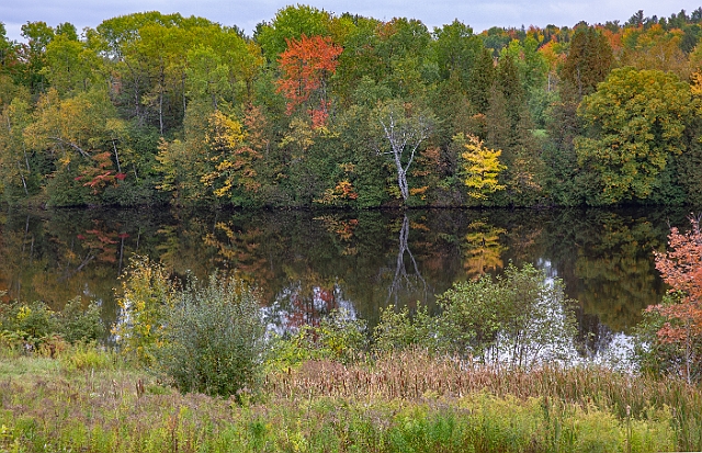 1G0A9137-HDR.jpg