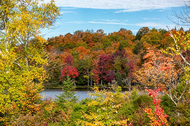 1G0A9331-HDR.jpg