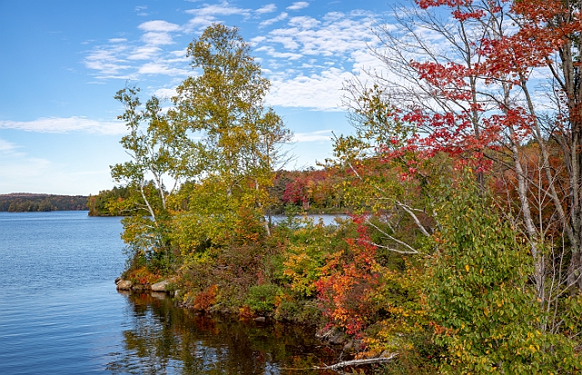 1G0A9382-HDR.jpg