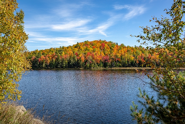 1G0A9458-HDR.jpg