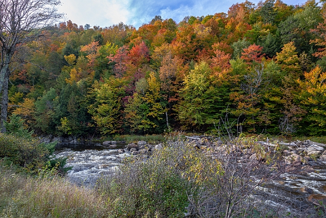 1G0A9535-HDR.jpg