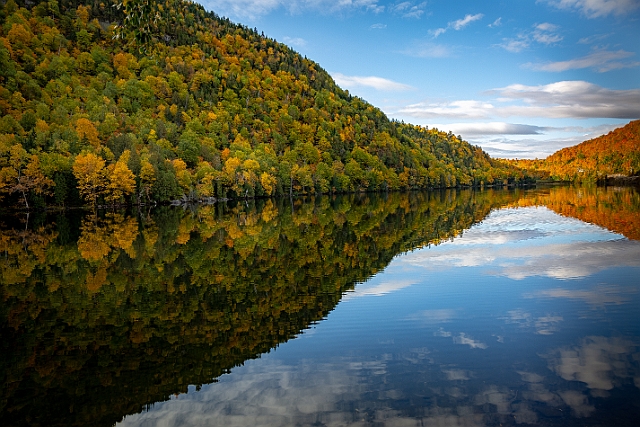 1G0A9575-HDR.jpg