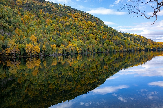 1G0A9587-HDR.jpg