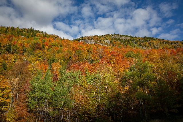 1G0A9590-HDR.jpg
