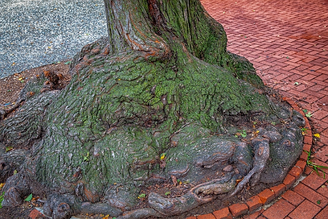 1G0A9690-Edit.jpg