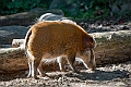 1G0A7543