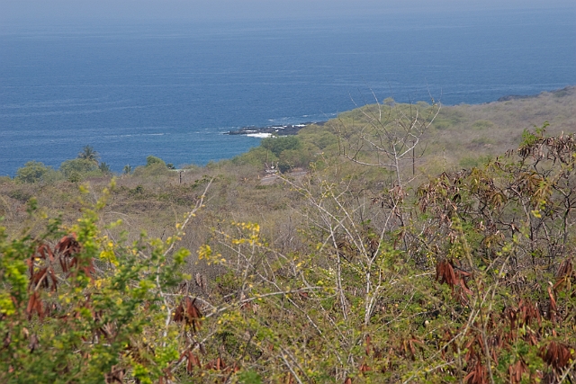 IMG_3170.jpg