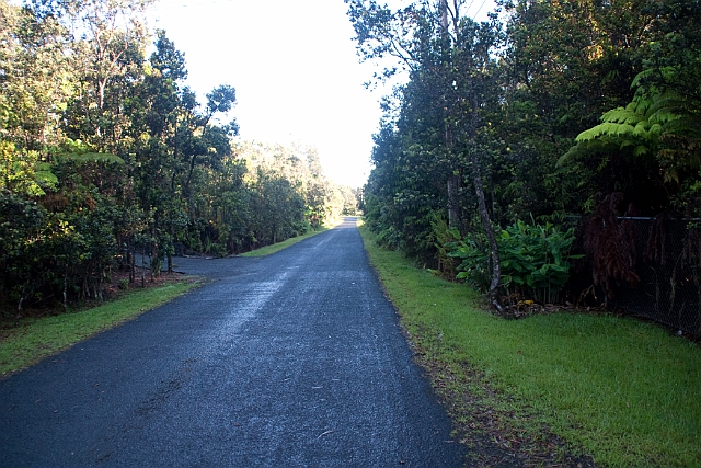 IMG_3572.jpg