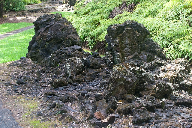 IMG_3605.jpg