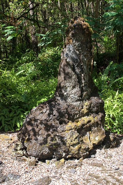IMG_3618.jpg