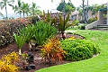 IMG_3168