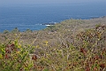 IMG_3170
