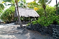 IMG_3173