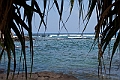 IMG_3190