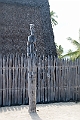 IMG_3199