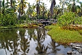 IMG_3212