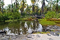 IMG_3213