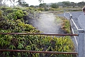 IMG_3281